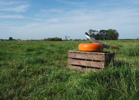 Unieke kaaslanden en hun iconische soorten: een culinaire wereldreis  CheeseDog® - Vergeer Holland
